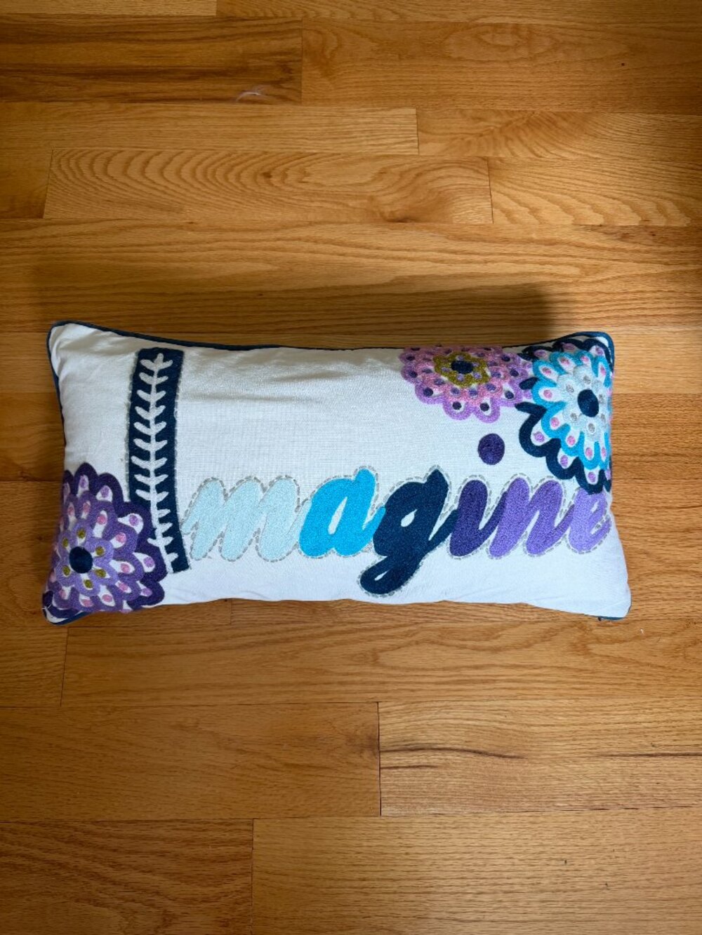 Pottery Barn Teen Adorable "Imagine" Throw Pillow